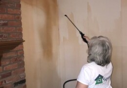 Spray Bottom Layer With Stripper Best rated company in Michigan to remove wallpaper