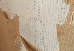 Prior Wall Pre-Prep Can Result In Damage Local company to remove wallpaper
